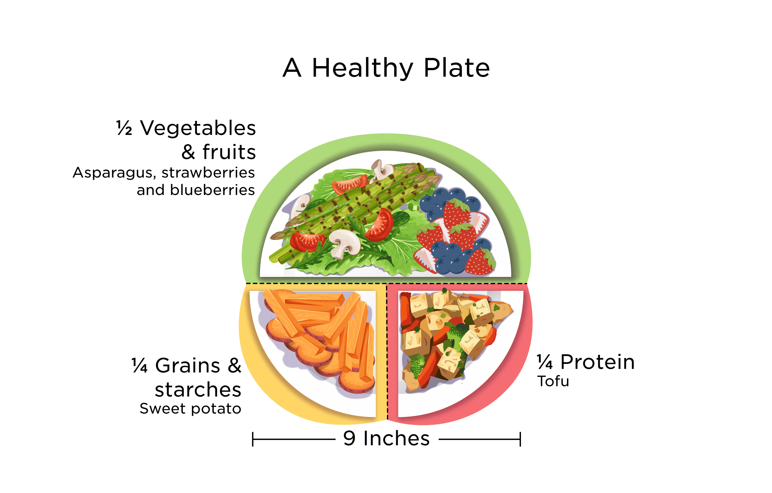 2024 HealthyPlate Tcm75 2449846