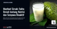 Manfaat Sirsak: Fakta Ilmiah tentang Nutrisi dan Senyawa Bioaktif