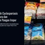 Ancaman Wabah Cyclosporiasis Global: Singapura dan Ketergantungan Pangan Impor